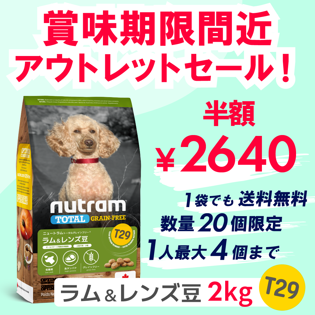 【アウトレット】T29 NUTRAM TOTAL GRAIN-FREE®ラム＆レンズ豆 ドッグフード（小型犬用） 2kg 小粒