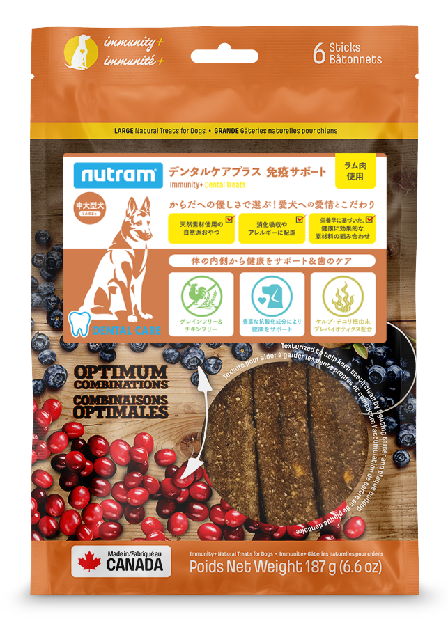 【デンタルケア】免疫サポート